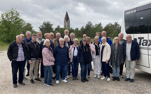 Gotland grupp