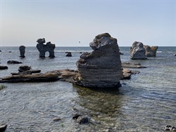 Raukar